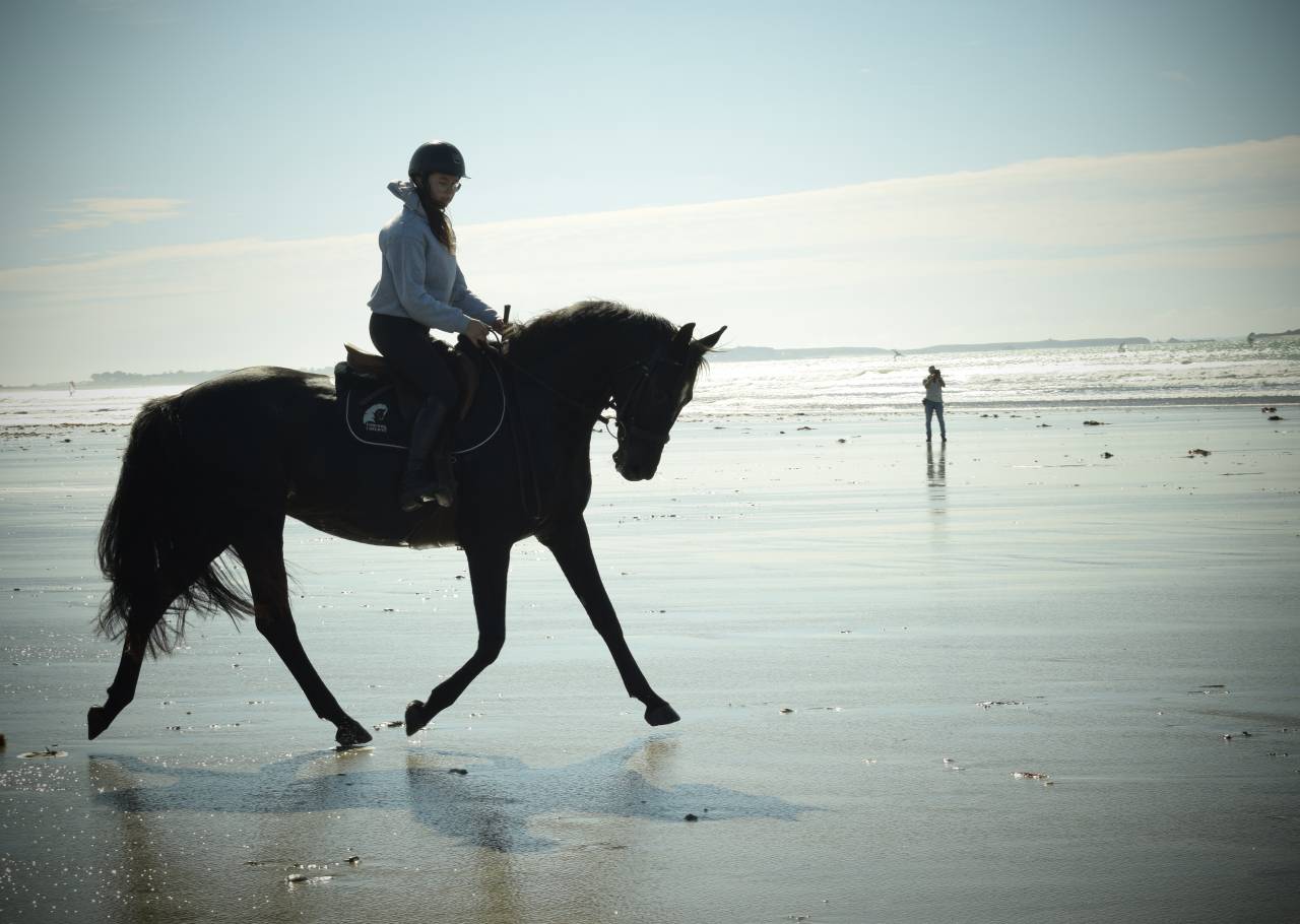 Propose location pour &eacute;levage ou loisir 