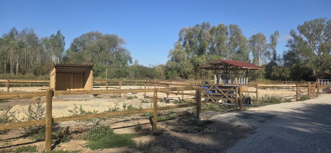 Pension chevaux en &eacute;curie active NOZAY 91