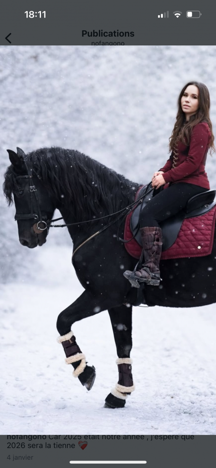 Pure race espagnole 8 ans