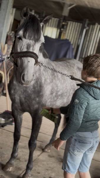 Ponette D 7 ans polyvalente