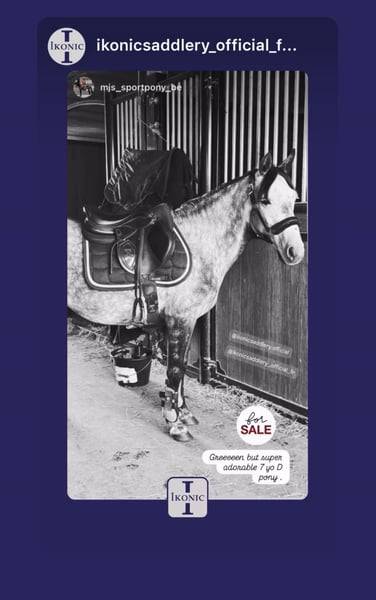 Ponette D 7 ans polyvalente