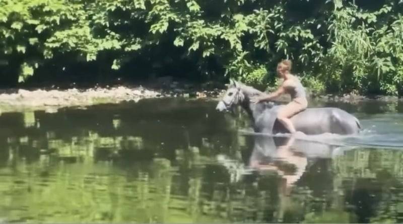 Poney de sport Connemara 2022 taille D