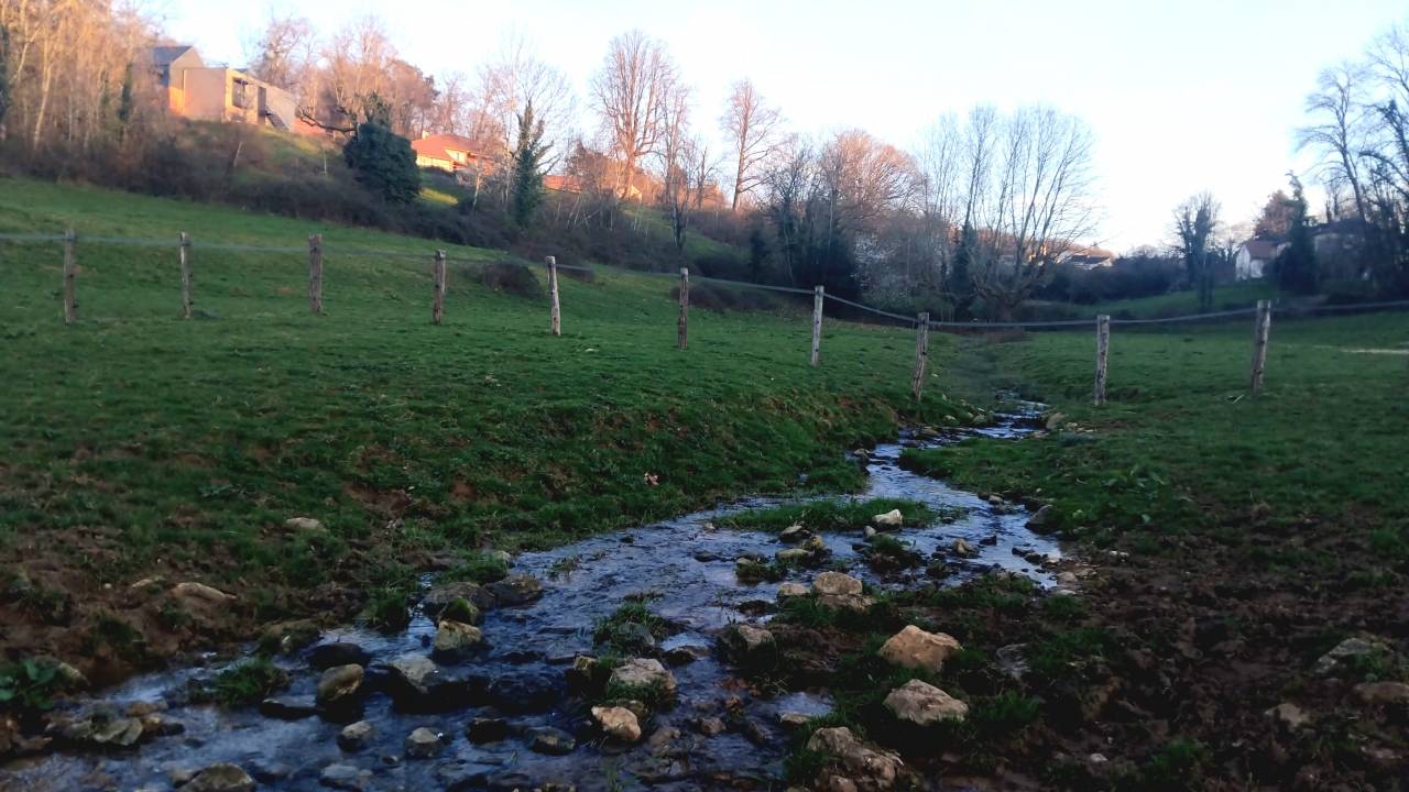 Pension pr&eacute; - RANCH DE REUILLE - 71480 Champagnat