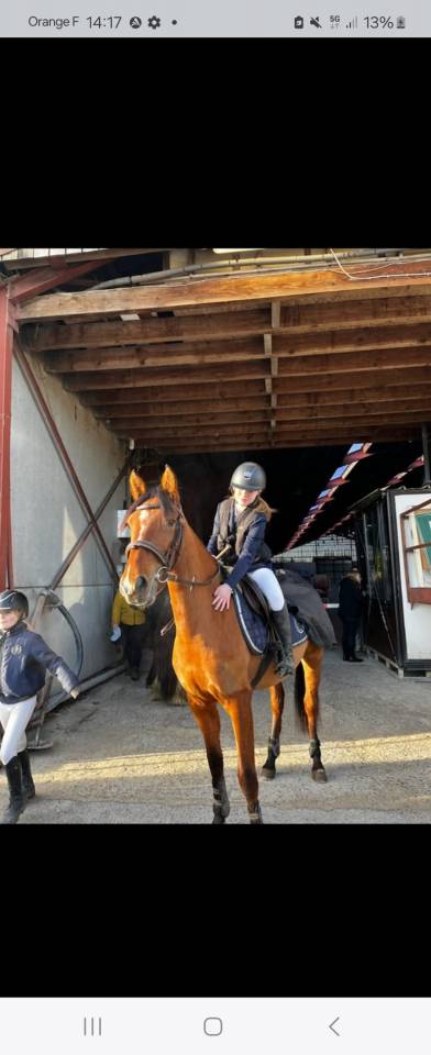 Ruperta jument ONC 7 ans