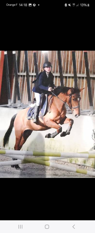 Ruperta jument ONC 7 ans