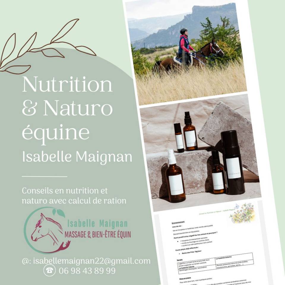 Masseuse &eacute;quin & Nutritionniste &eacute;quin
