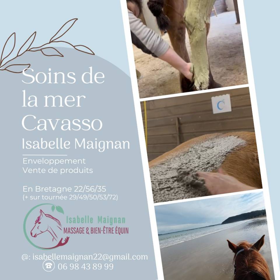 Masseuse &eacute;quin & Nutritionniste &eacute;quin