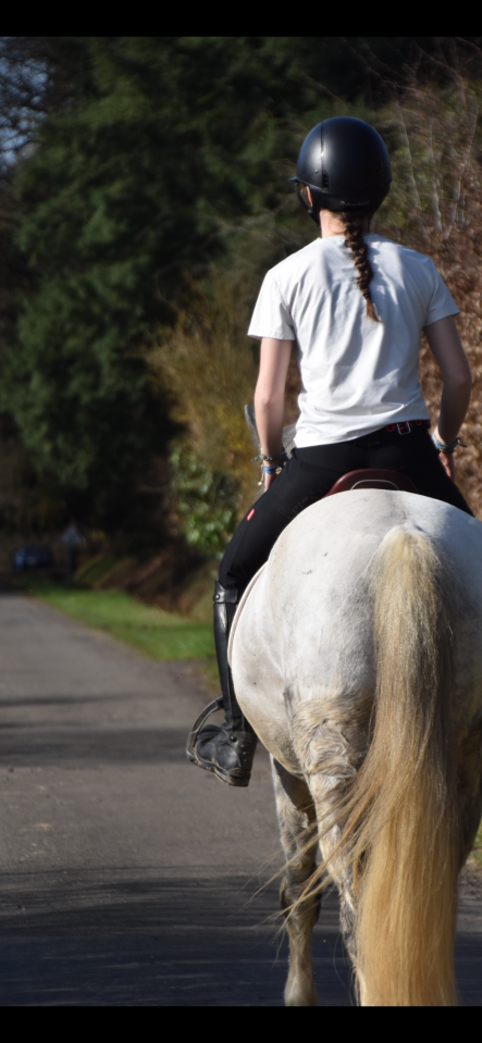 &Agrave; VENDRE OPPORTUNIT&Eacute; &Agrave; SAISIR - poney C