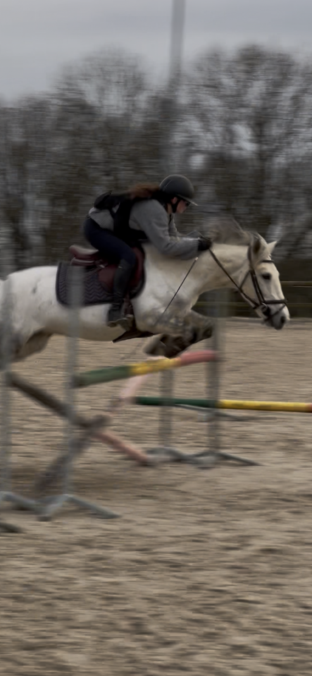 &Agrave; VENDRE OPPORTUNIT&Eacute; &Agrave; SAISIR - poney C