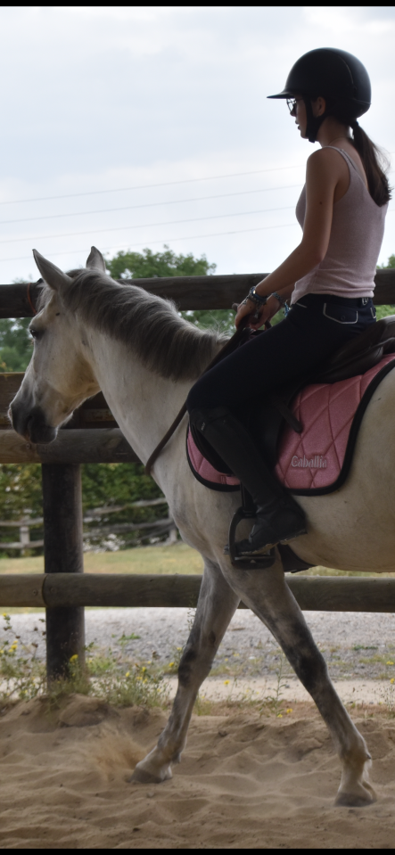 &Agrave; VENDRE OPPORTUNIT&Eacute; &Agrave; SAISIR - poney C