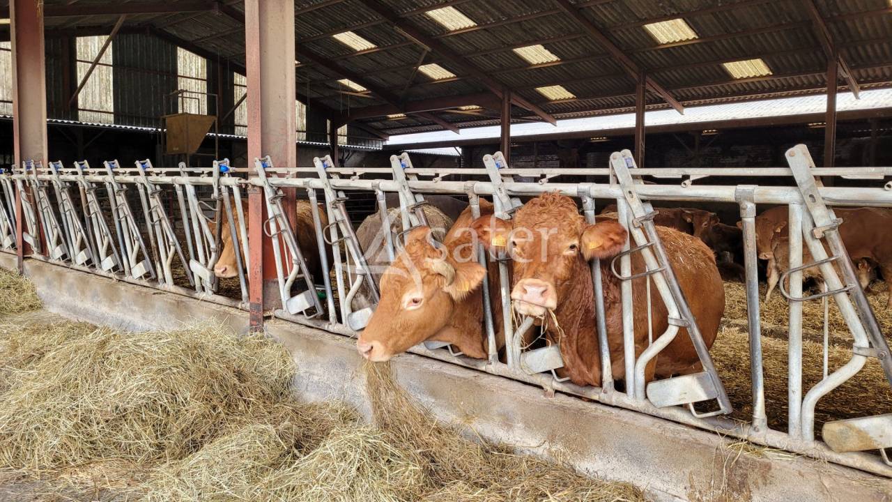 Exploitation agricole id&eacute;al &eacute;levage 102 ha