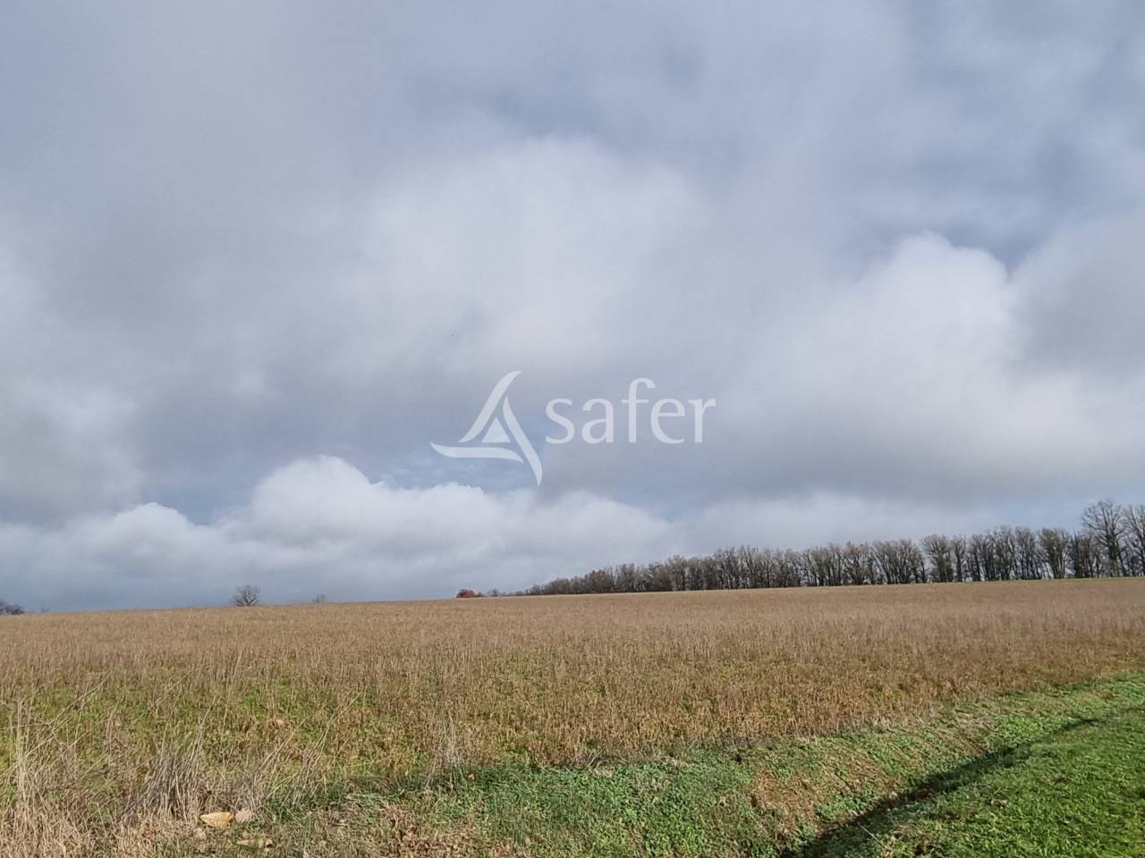 Exploitation agricole id&eacute;al &eacute;levage 102 ha