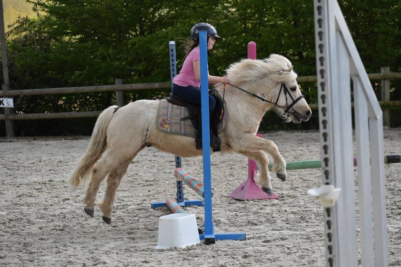 Poney id&eacute;al enseignement et competition