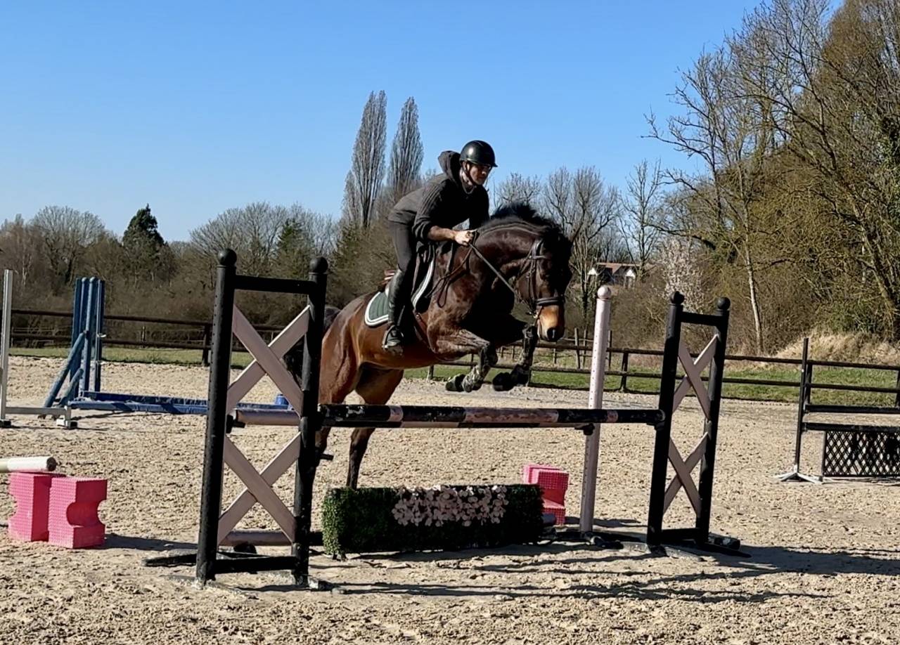 6 ans prometteur CSO-CCE