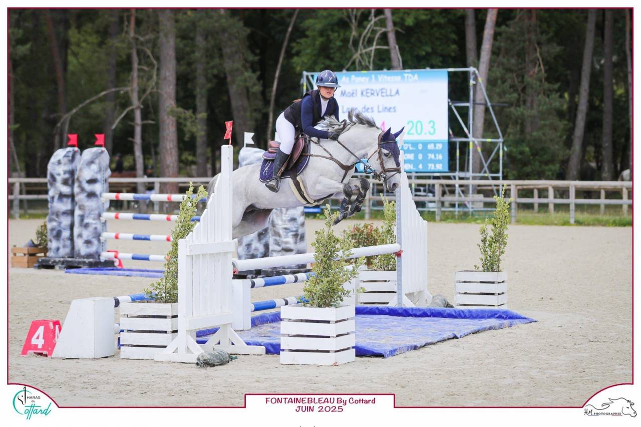 &Eacute;talon C de Dexter Leam Pondi pour faire AS1 