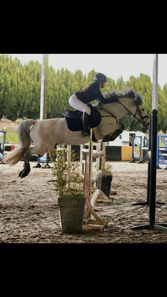 &Eacute;talon C de Dexter Leam Pondi pour faire AS1 