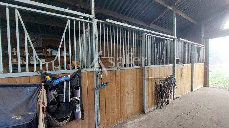 Projet EQUIN: maison r&eacute;cente + infrastructures sur 2 hectares