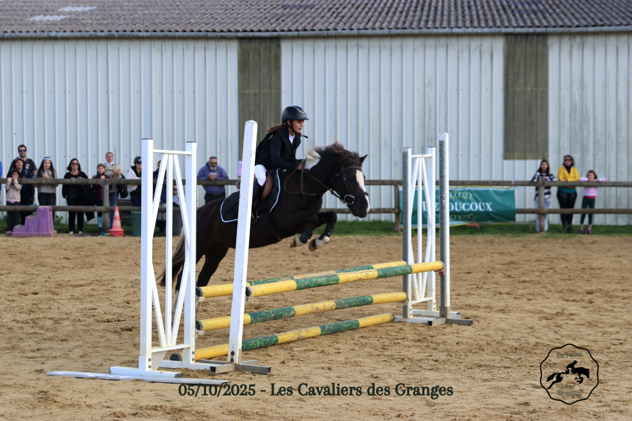 Poney B