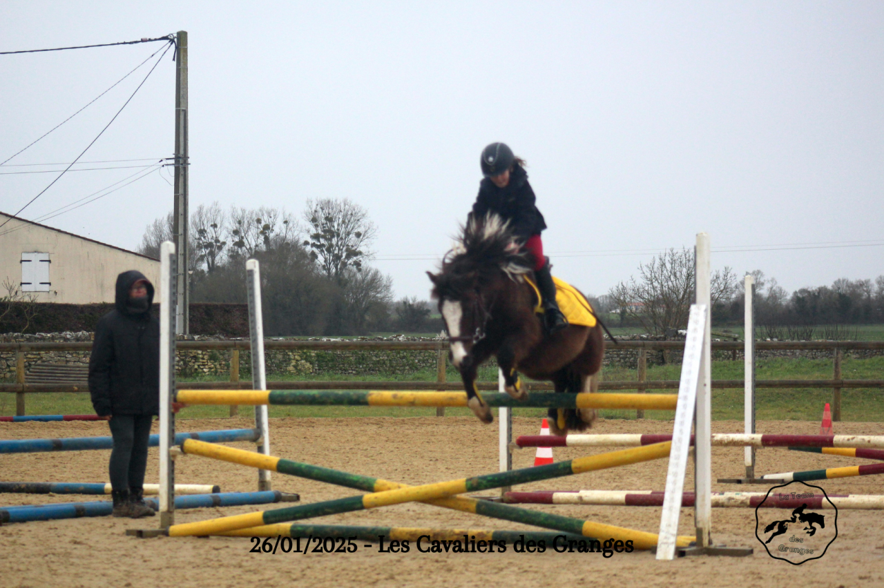 Poney B