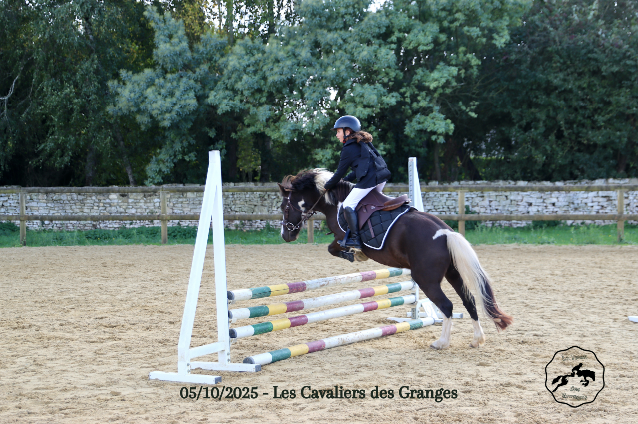 Poney B