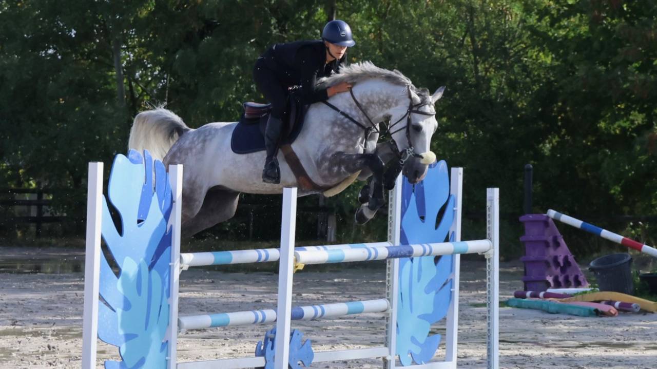 Cheval 8ans avec exp&eacute;rience 1m30