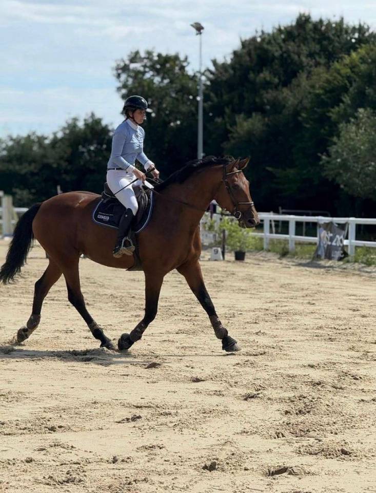 Jument amateur 1 CSO 