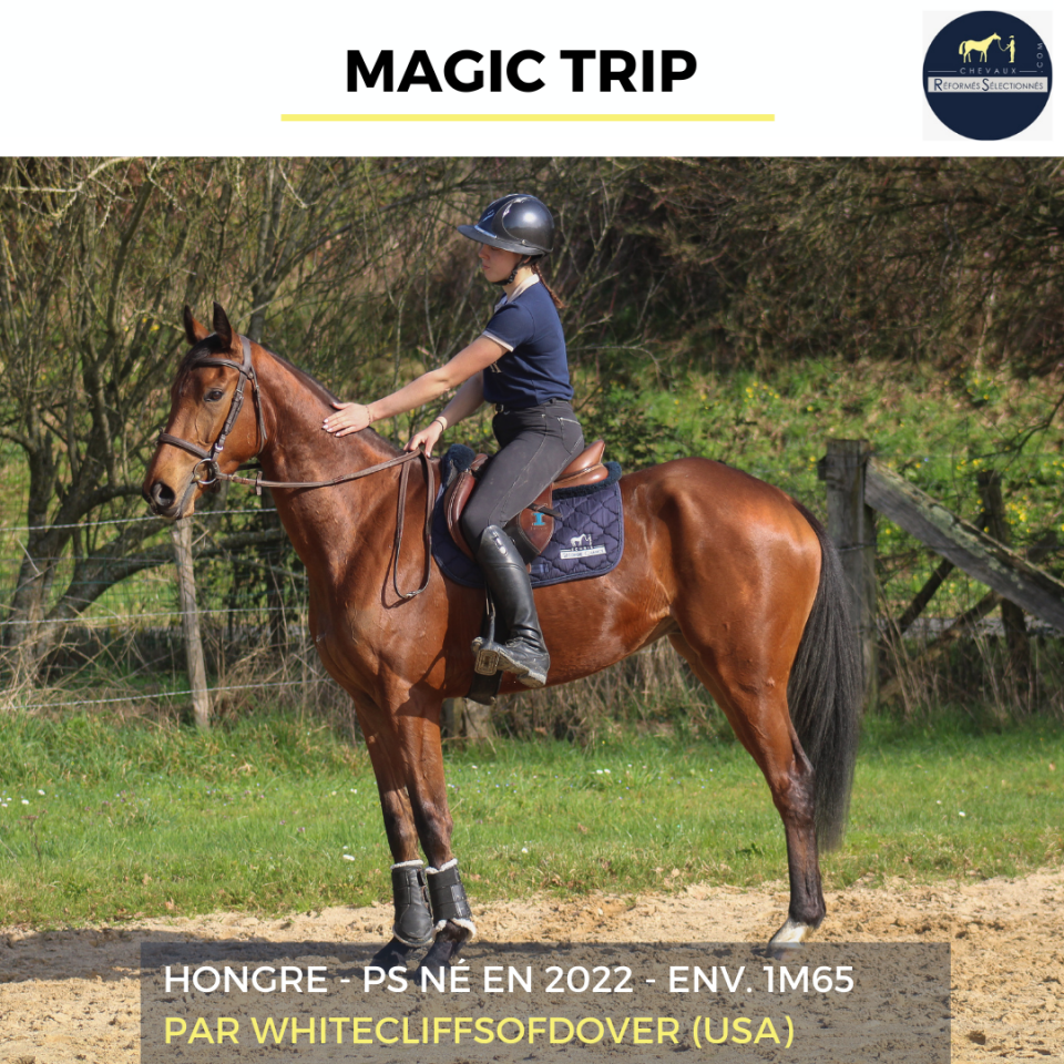 MAGIC TRIP - PS - 4 ANS