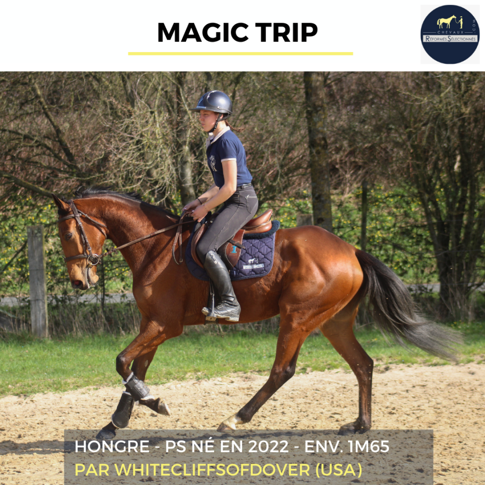 MAGIC TRIP - PS - 4 ANS