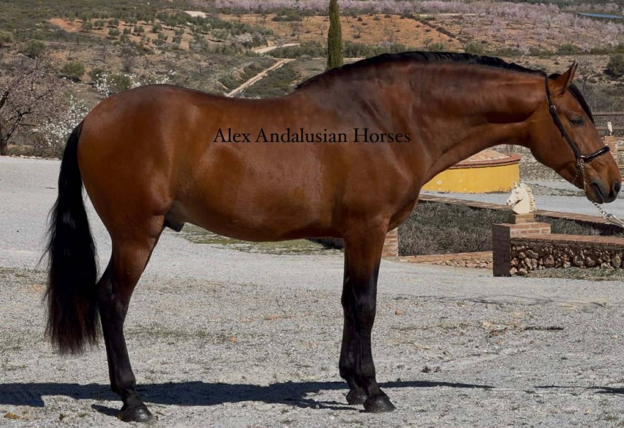 Magnifique et tres baroque PRE