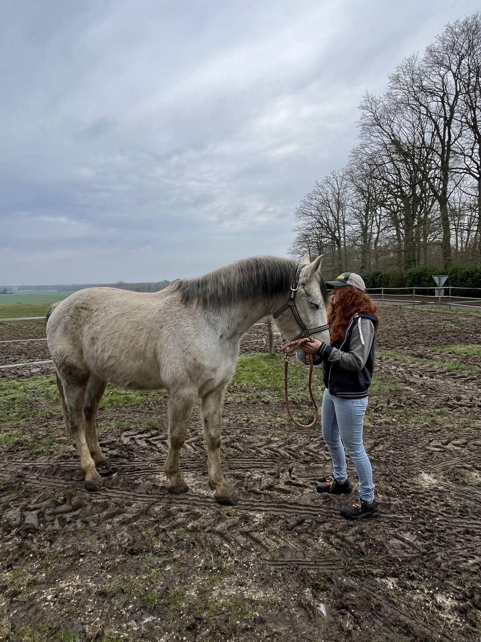 Bandi &ndash; Demi-pension &eacute;volutive (confiage possible)
