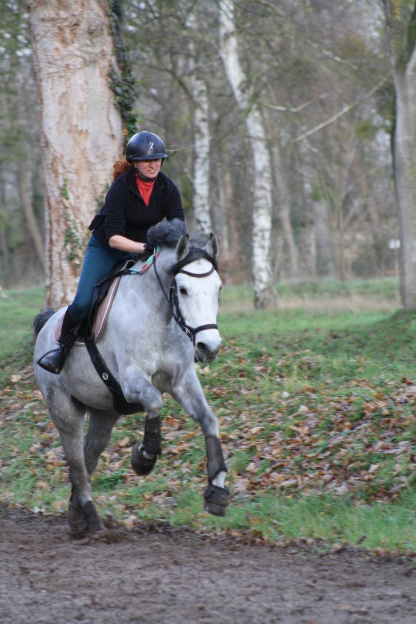 Bandi &ndash; Demi-pension &eacute;volutive (confiage possible)