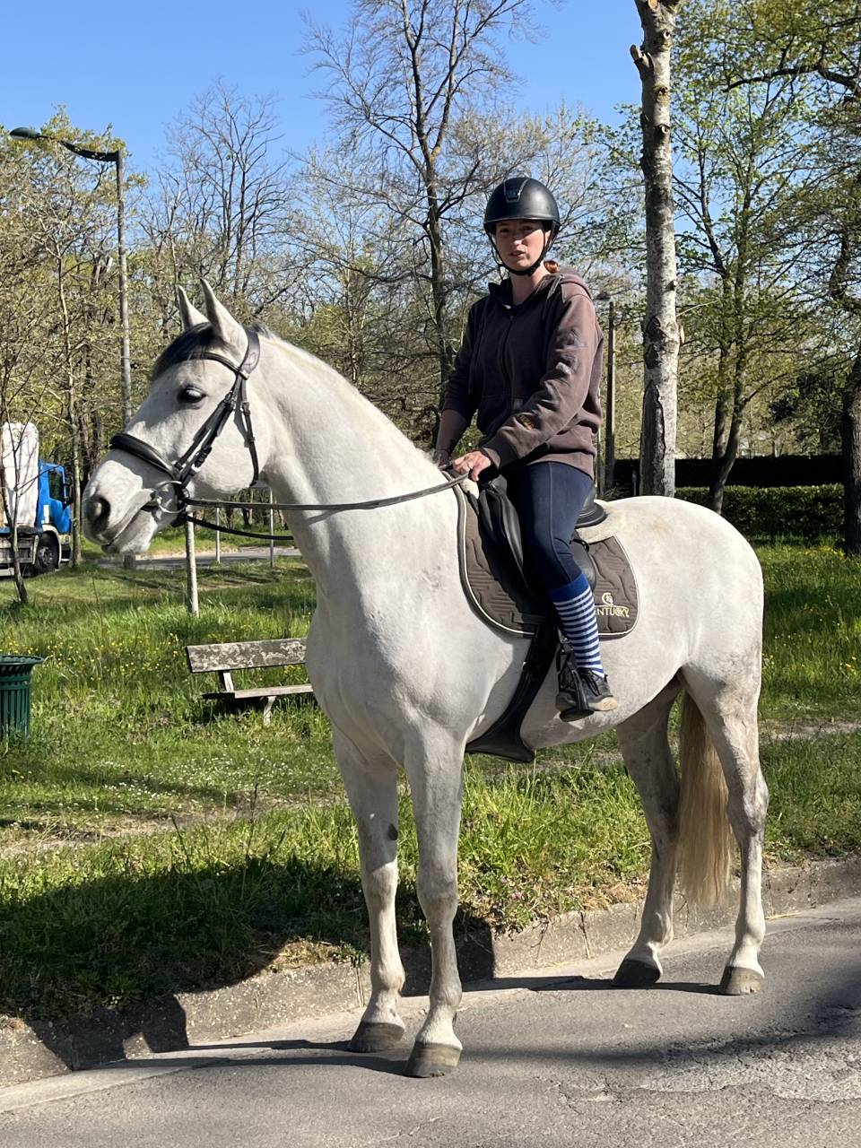 Bandi &ndash; Demi-pension &eacute;volutive (confiage possible)