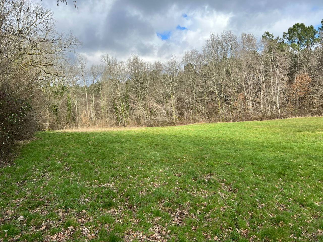 Propri&eacute;t&eacute; id&eacute;ale chevaux sur 6 ha proche BERGERAC (24)