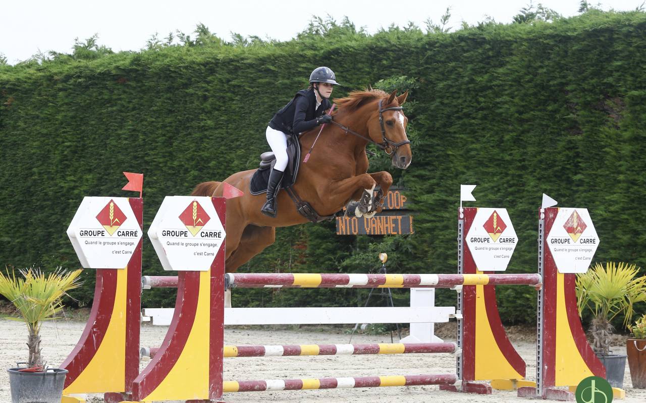 Cheval d&rsquo;obstacle/complet &agrave; vendre 