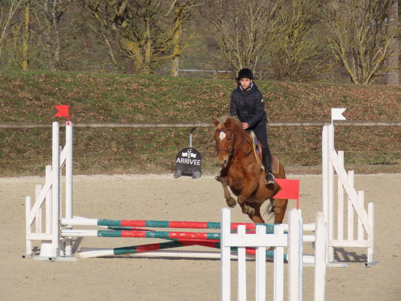 Cheval &agrave; vendre