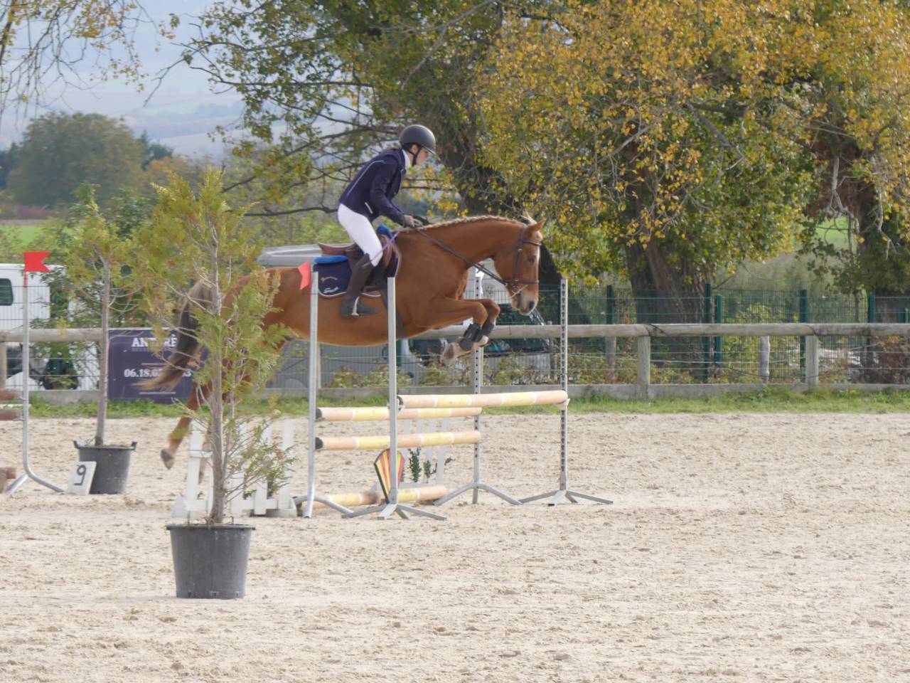 Cheval &agrave; vendre