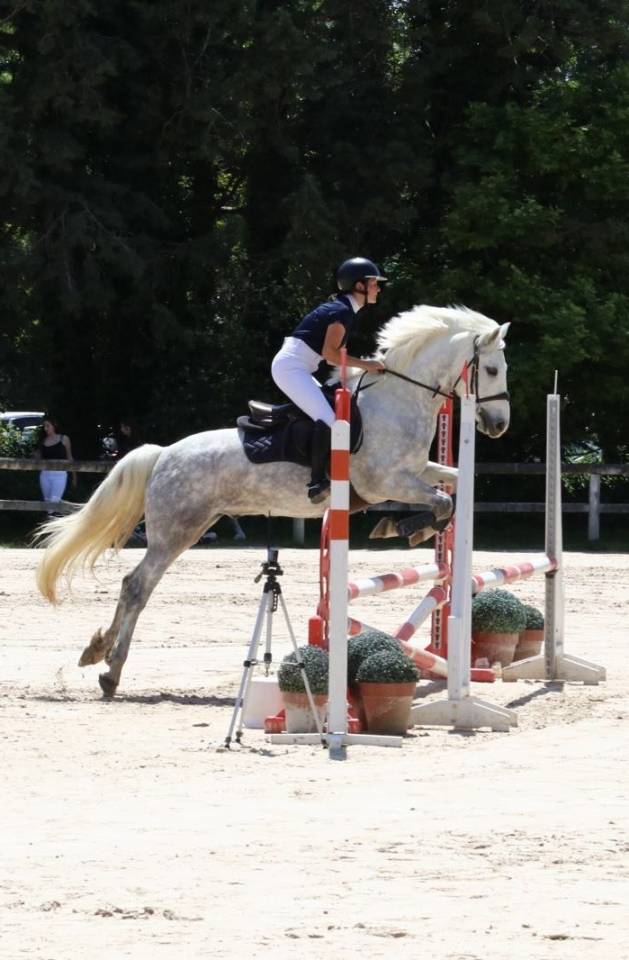 Poney D &agrave; vendre, disponible apr&egrave;s Lamotte