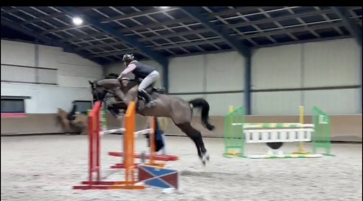 Cheval &agrave; vendre 