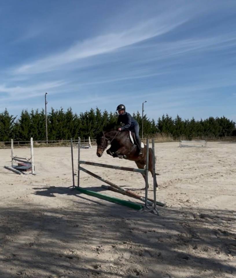 Poney D 4 ans