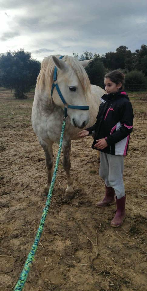 Camargue ONC du 21/04/2020