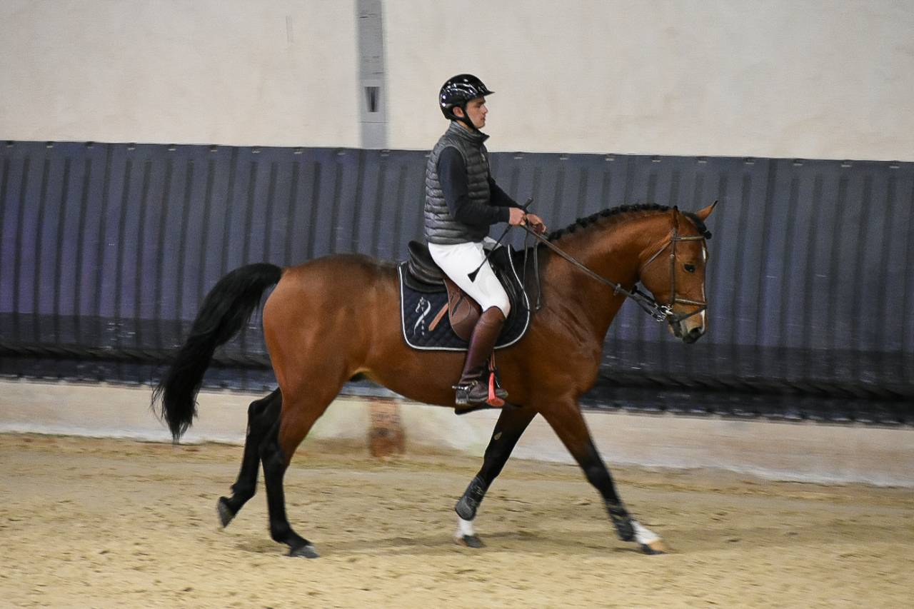 Entier selle fran&ccedil;ais originel