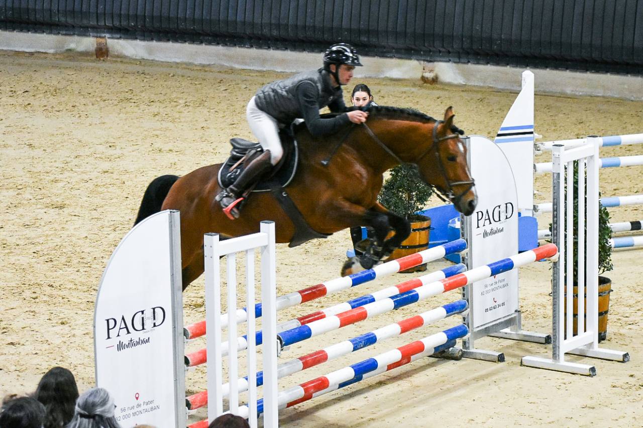 Entier selle fran&ccedil;ais originel