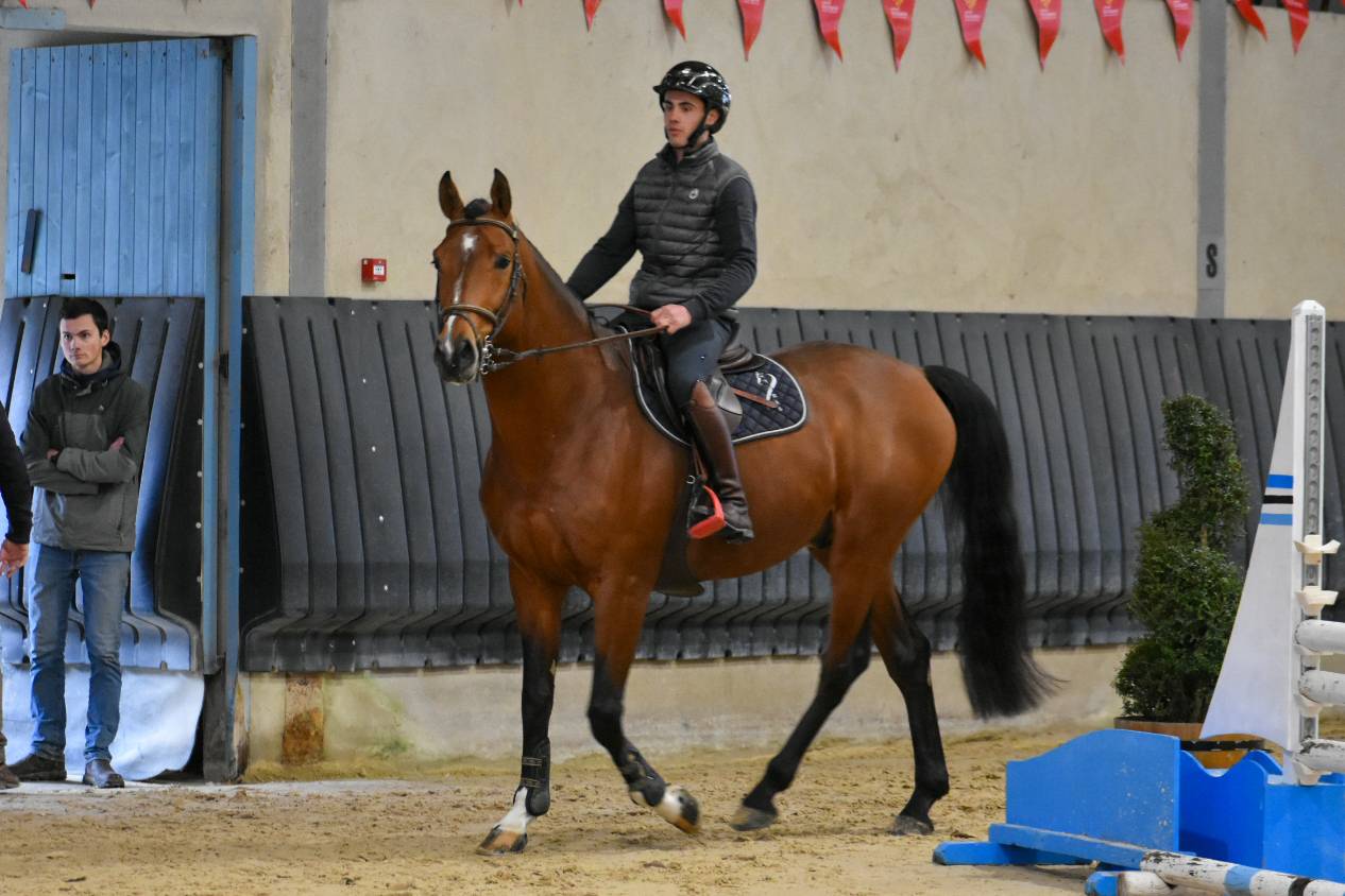 Entier selle fran&ccedil;ais originel