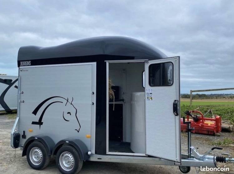 Van Cheval Libert&eacute; Gold One Origins avec sellerie