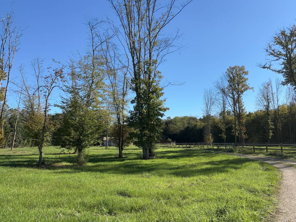 Pension cheval &agrave; Vimory (45700)