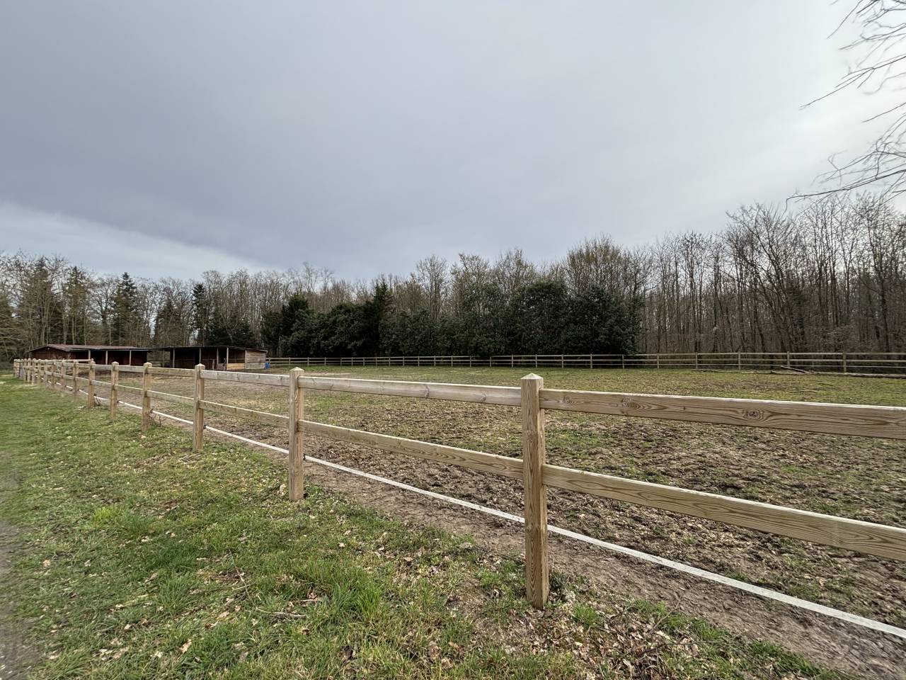 Pension cheval &agrave; Vimory (45700)