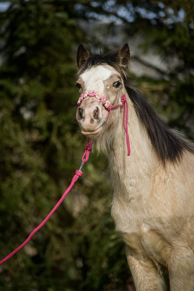 ✨ POULICHE ISABELLE TR&Egrave;S C&Acirc;LINE &ndash; Moi, c&rsquo;est Dun Lady 