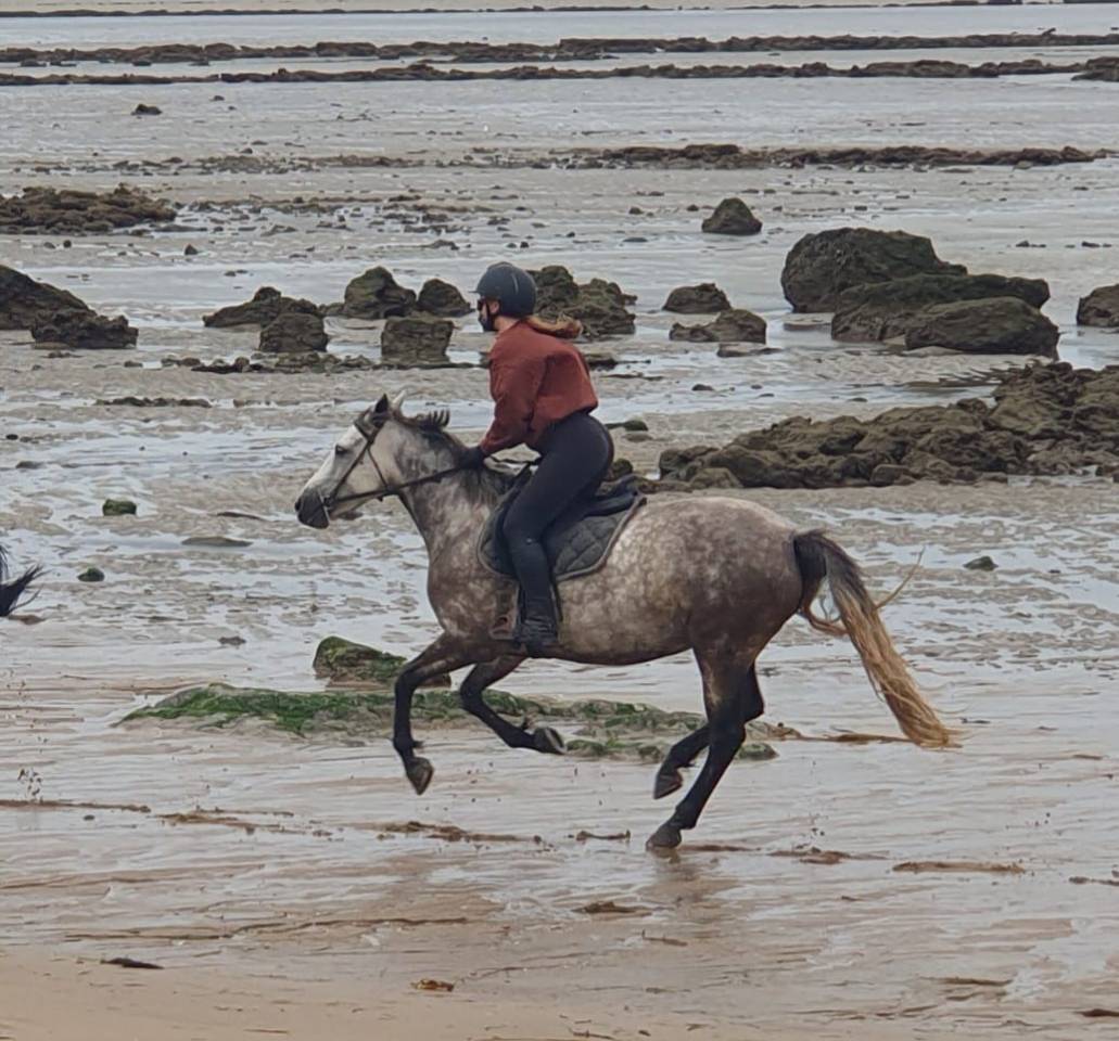 Cavali&egrave;re, groom, assistance administrative