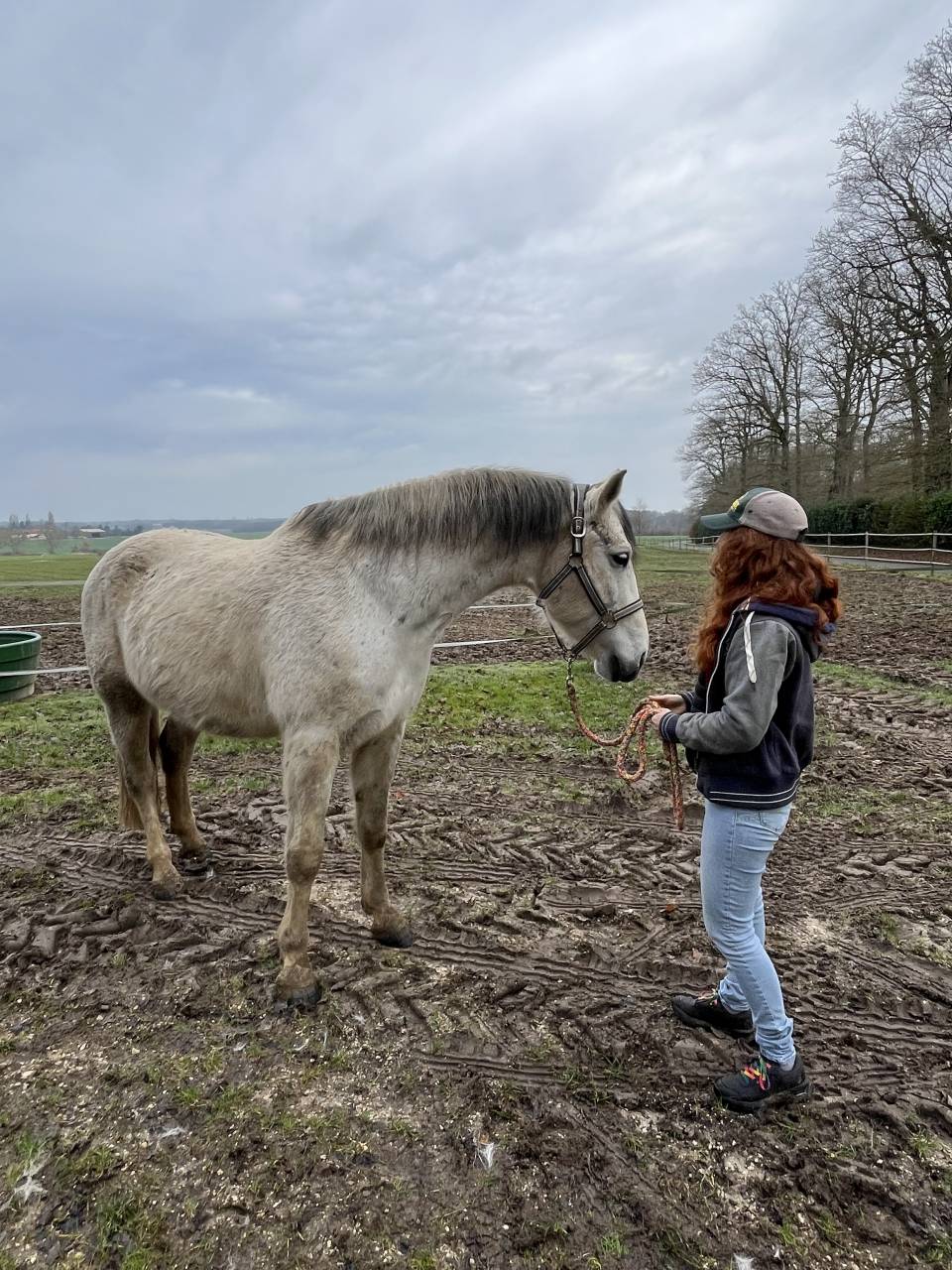 Bandi - Confiage (demi-pension possible)