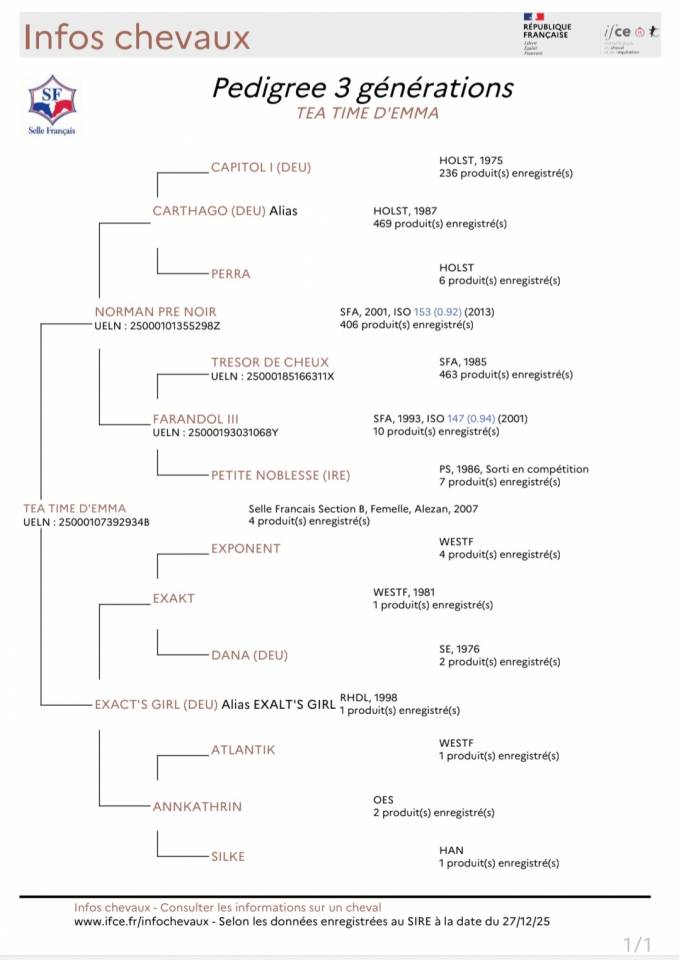 Pouliniere selle fran&ccedil;aise 